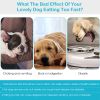 Slow Feeder Healthy Dog Bowl Happy Hunting Fun Puzzle Maze Bowl For Water Food 7.68In In Diameter 10.5Oz In Capacity For Small Medium Dogs