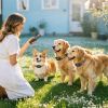 2-In-1 Dog Shock And Bark Collar Dog Training Collar With Remote 3 Collars Rechargeable Ip68 Waterproof With 3 Channels For Medium And Small Dogs