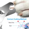 Dog Nail Clippers Pet Cat Nail Toe Trimmer Stainless Steel Grooming Tool Free Nail File Small Medium Large Dogs
